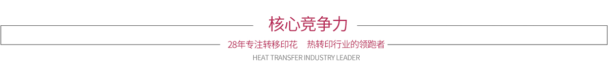核心競(jìng)爭(zhēng)力